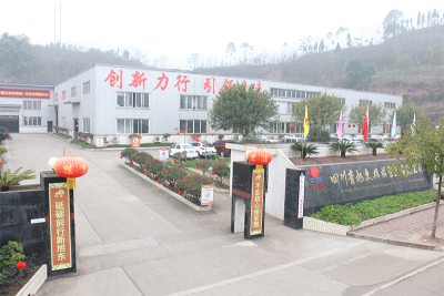 公司外景